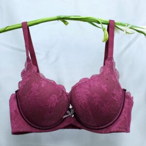 elegant lace underwire bra