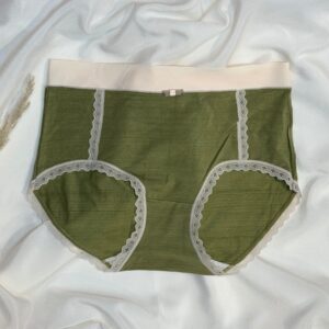 high waisted lace trim panty collection