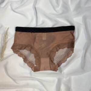 romantic lace trimmed mesh panty collection