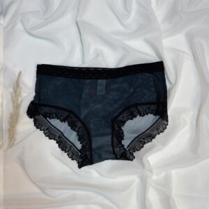 romantic lace trimmed mesh panty collection