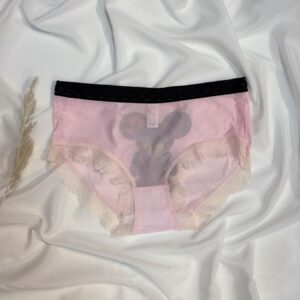 romantic lace trimmed mesh panty collection