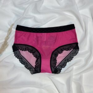 romantic lace trimmed mesh panty collection