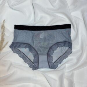 romantic lace trimmed mesh panty collection